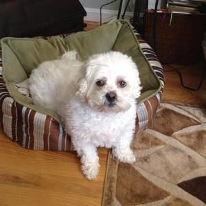 Meet your Posher, Noreen